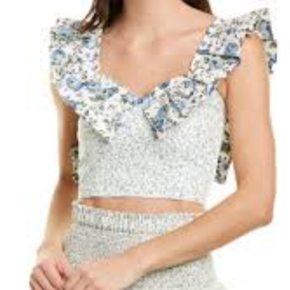 Petersyn Sybil Cropped Floral Smocked Top Size L NWOT - Picture 1 of 11